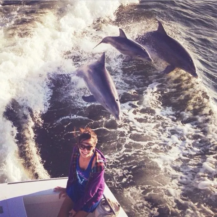 On The Boat With My Family And I Was Sitting On The Edge To Get A Good Photo Of The Water And Me And Two Dolphins And It's Calf Jumped Out Of The Water And This Image Was Caught At The Perfect Time