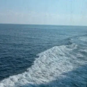 Rogue Wave