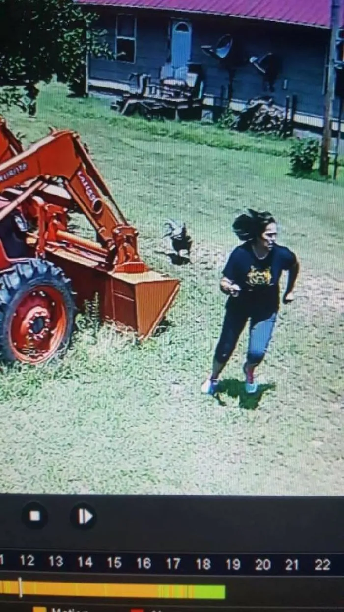 Mi madre me dijo que el gallo la estuvo persiguiendo hoy. Tuve que ver la cámara de seguridad para creermelo