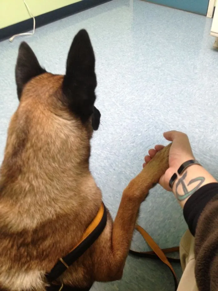Someone Gets A Little Nervous At The Vet
