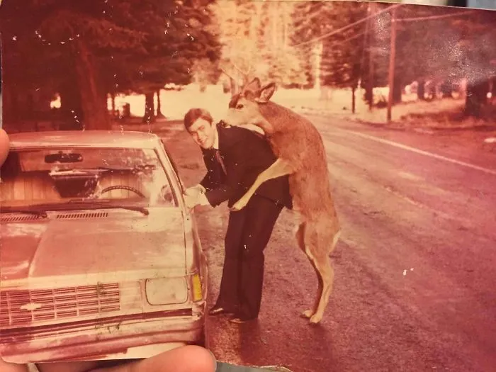 Esto le ocurrió de forma inesperada a mi padre cuando se agachaba para coger algo del coche. Idaho, 1980 aprox.