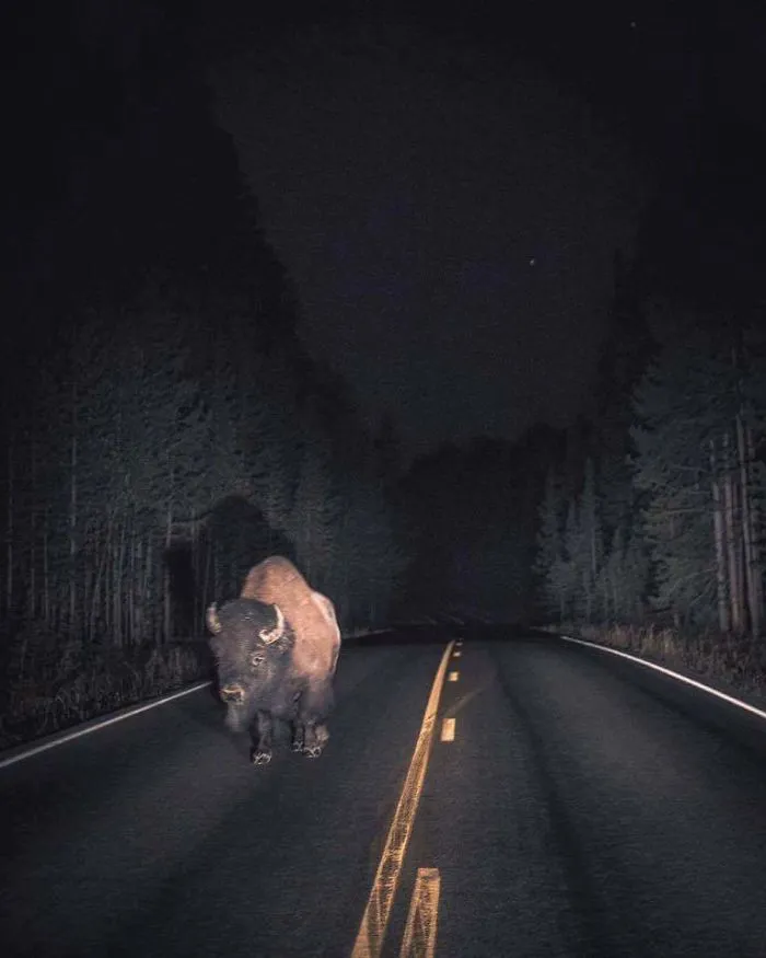 I Go Walking, After Midnight, Out In The Moonlight