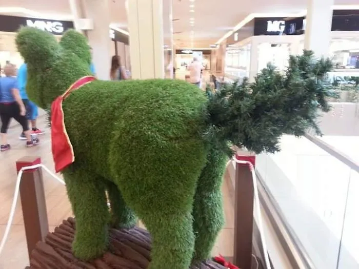 This Looks Sooo Wrong