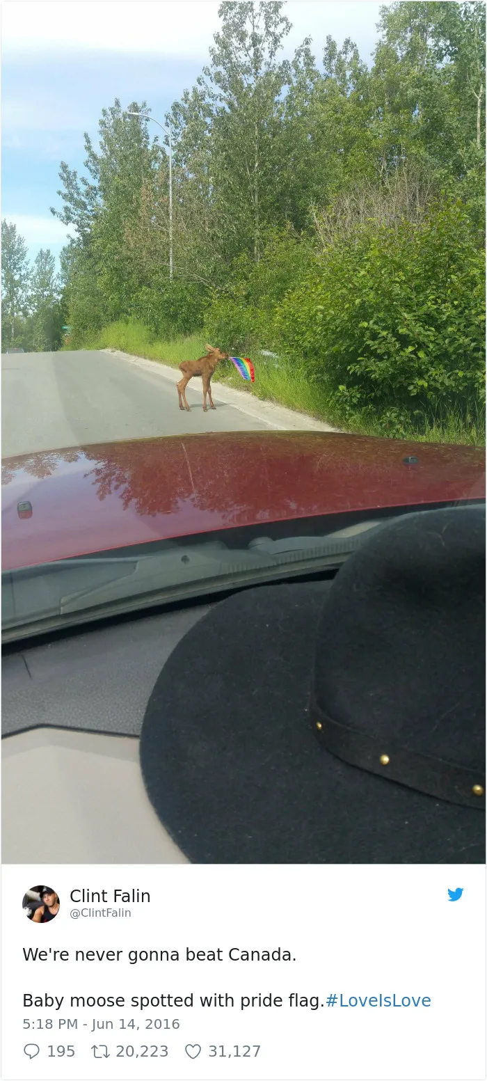 100 Times Canadians Were A Complete Mystery To The Rest Of The World