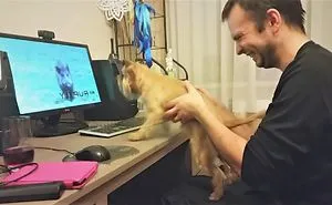 Cute Dogs And Cats Of The Outgoing Week