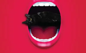 This Calendar From Berlin Depicts The Love Story Of Two Cats