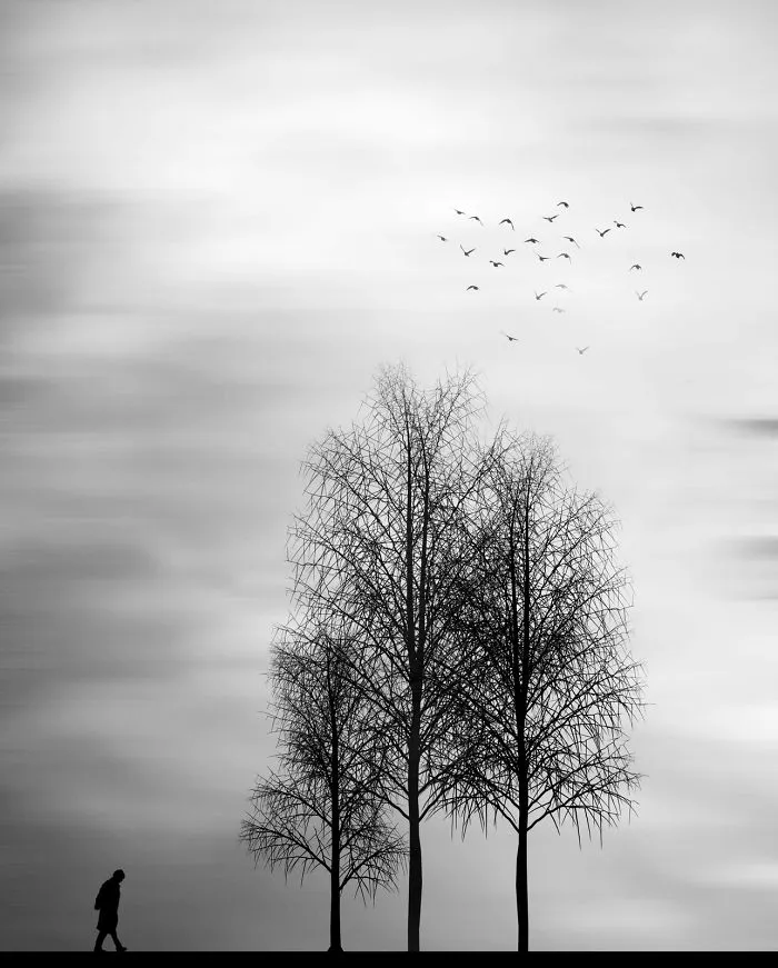 Artist Spots Patterns And Shapes In Everyday Life, Creates Beautiful Minimal Photos