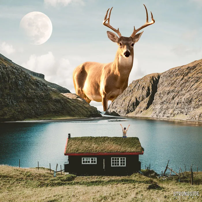 Oh Deer!
