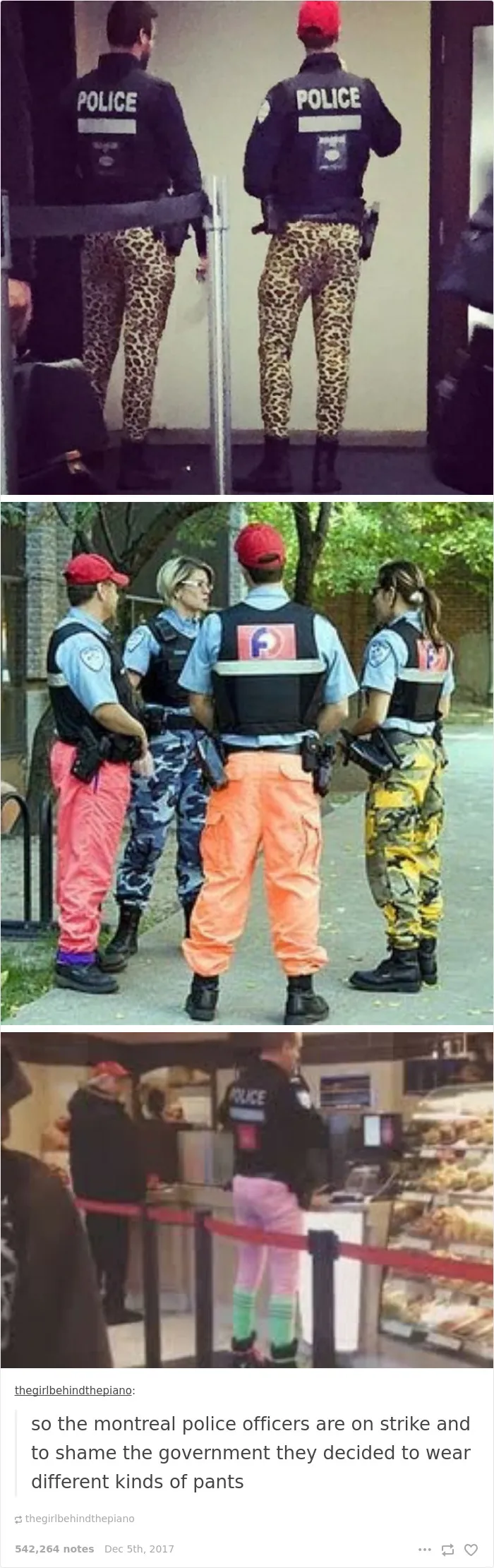 100 Times Canadians Were A Complete Mystery To The Rest Of The World