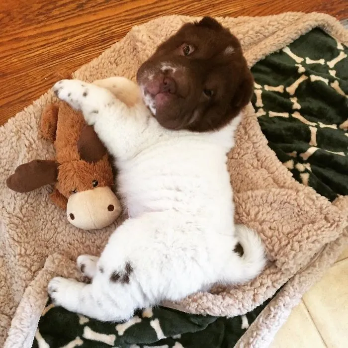Preparing For Nap Time