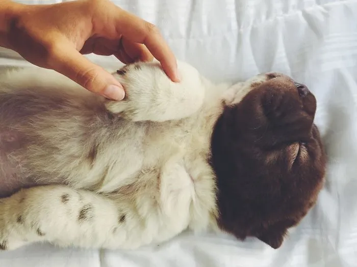 Time To Wake Up Sweet Little Prince!
