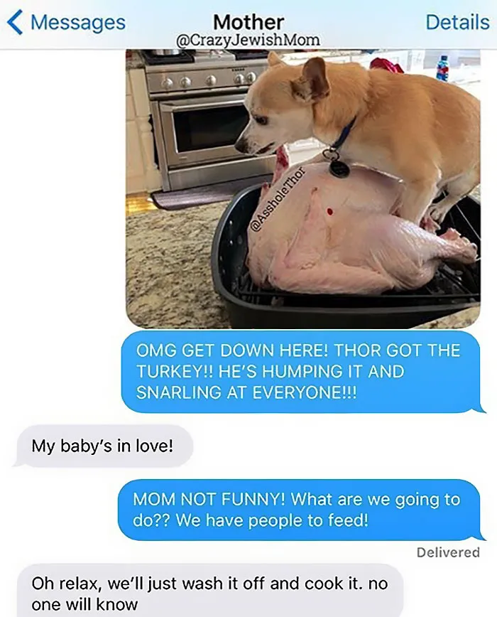 Daughter Posts Brutally Honest Texts That She Receives From Her Crazy Jewish Mother, And It's Hilarious