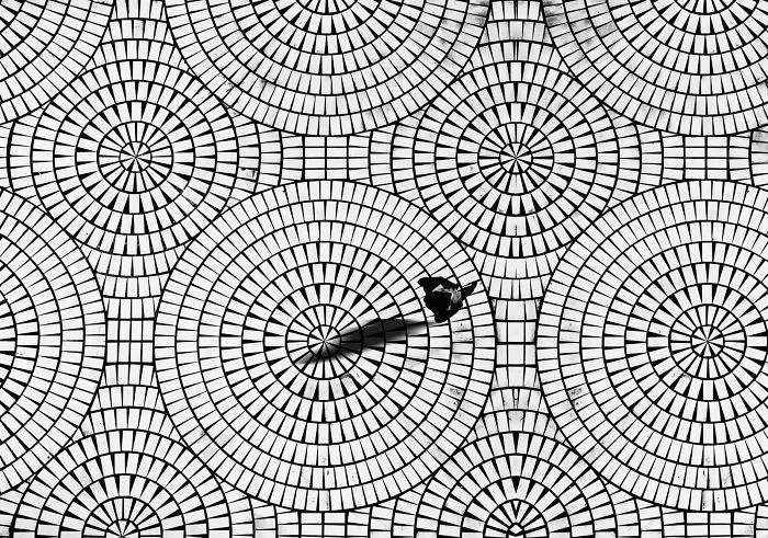 Artist Spots Patterns And Shapes In Everyday Life, Creates Beautiful Minimal Photos