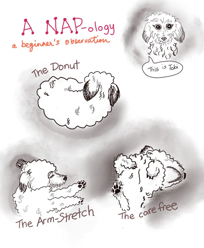 Nap-Ology