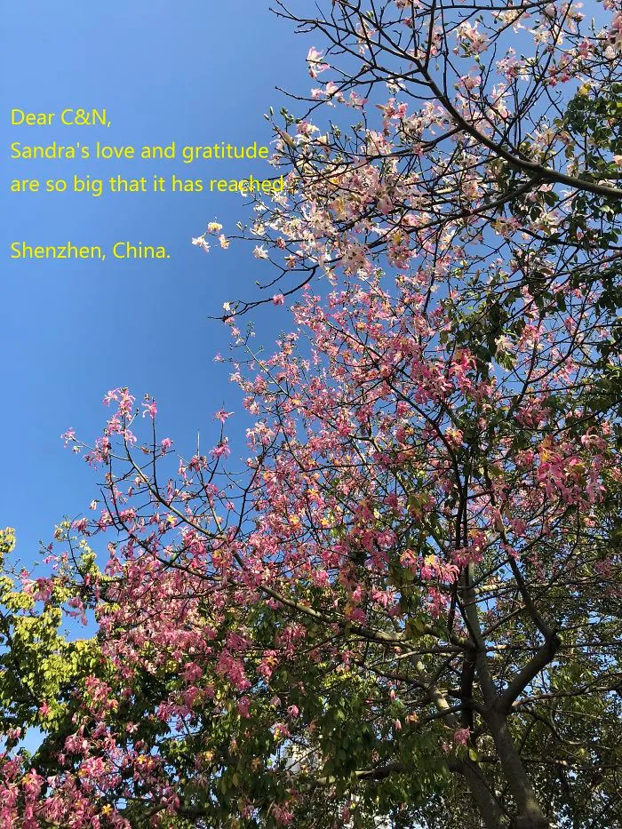Greetings From Southern China!