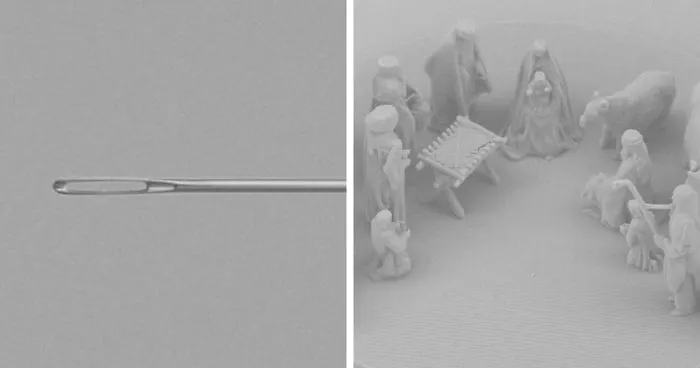 Pope Francis Receives The World's Smallest Nativity Scene For Christmas