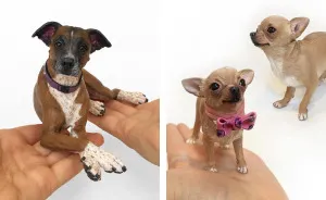 This Artist Makes Replicas Of Pets And The Result Is Lovely
