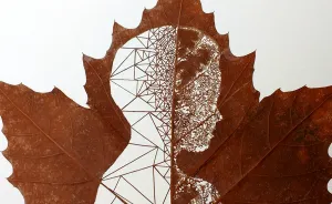 I Create Leaf Art By Carefully Cutting Intricate Scenes (New Pics)