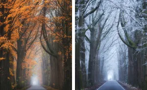 I Photographed The Exact Same Place During Different Times Of Year