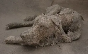 Artist Uses Vintage Textiles To Create Sculptures Of Dogs, And The Result Is Surprisingly Beautiful