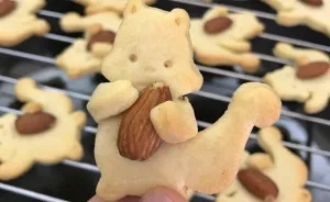 Nut Hugging Squirrel