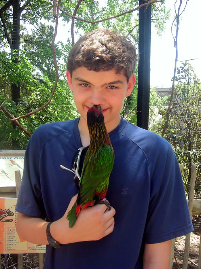 A Bird Picked My Nose