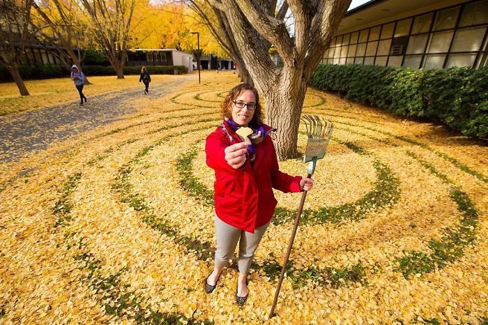 Every Year This University Employee Rakes Leaves Into Stunning Works Of Art And Leaves It For Students To Find