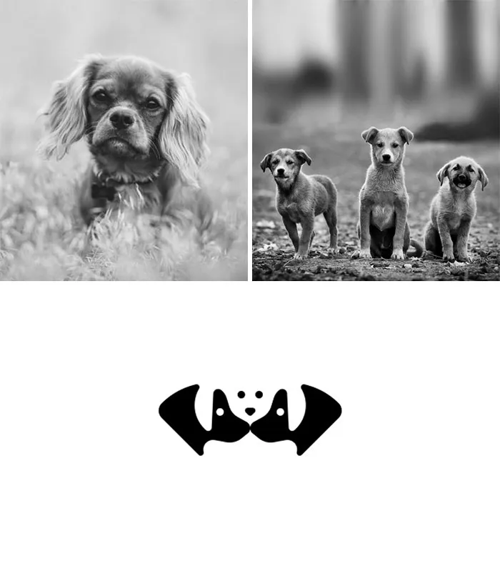 Dog Family