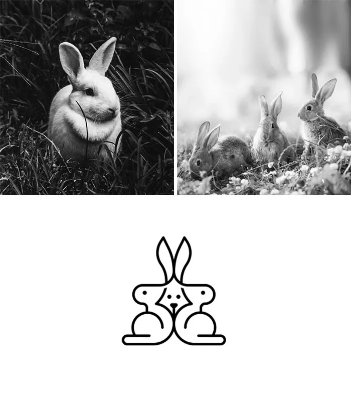 Rabbit Family