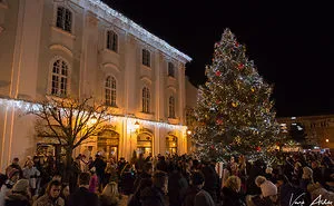 Christmas Lights In Székesfehérvár, Hungary