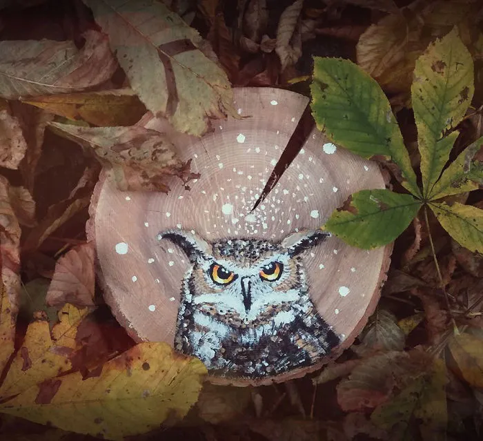 I Paint Animal Portraits On Slices Of Wood
