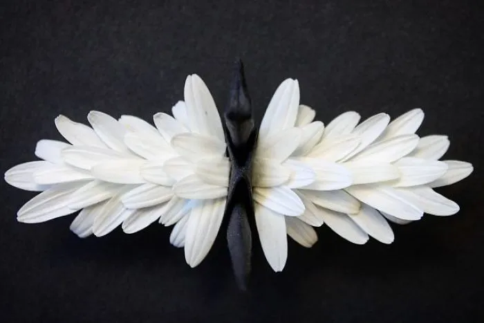 I Folded And Decorated An Origami Crane Every Day, For 1000 Days