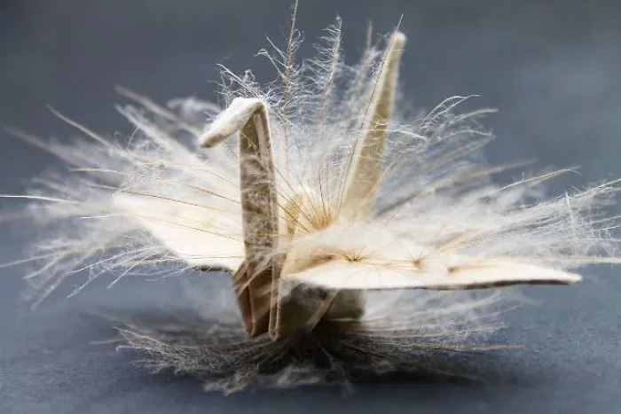 I Folded And Decorated An Origami Crane Every Day, For 1000 Days