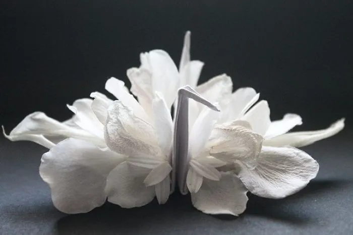 I Folded And Decorated An Origami Crane Every Day, For 1000 Days