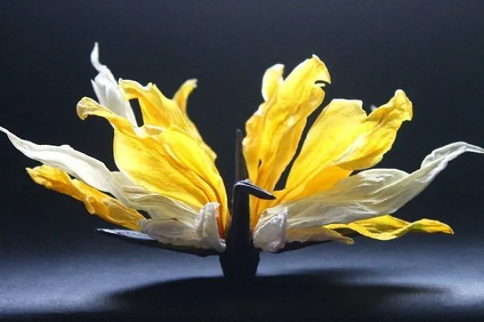 I Folded And Decorated An Origami Crane Every Day, For 1000 Days