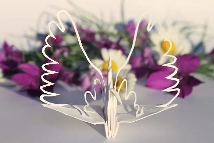 I Folded And Decorated An Origami Crane Every Day, For 1000 Days