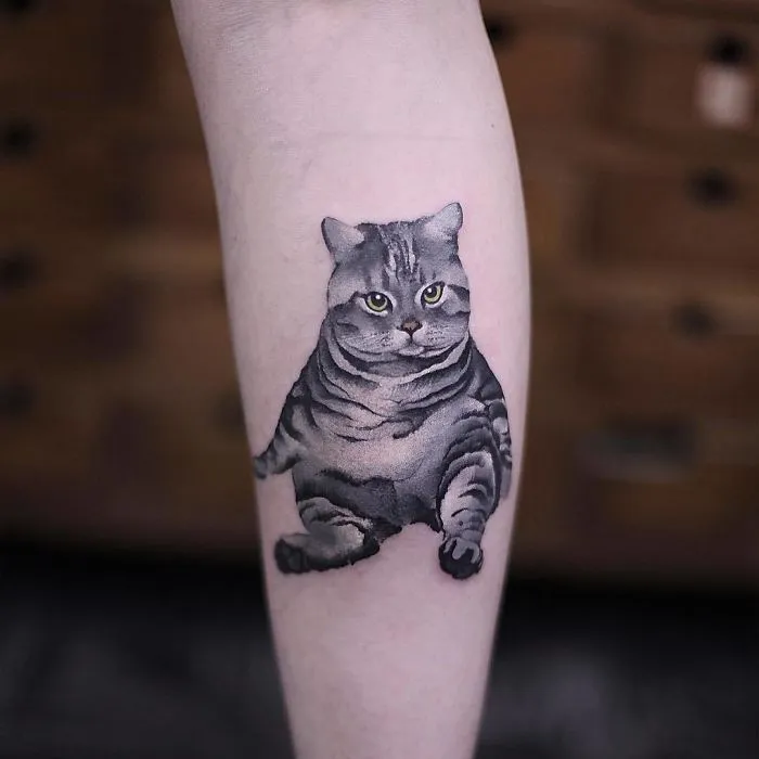 Watercolor tattoo of a gray striped cat by Chen Jie on a person's forearm.