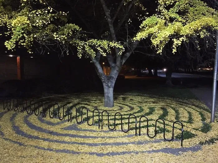 Cada año, esta empleada de la universidad amontona las hojas caídas en formas artísticas para que los estudiantes las encuentren