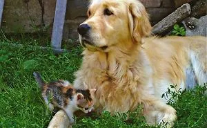 Friendships Don't Just End...
