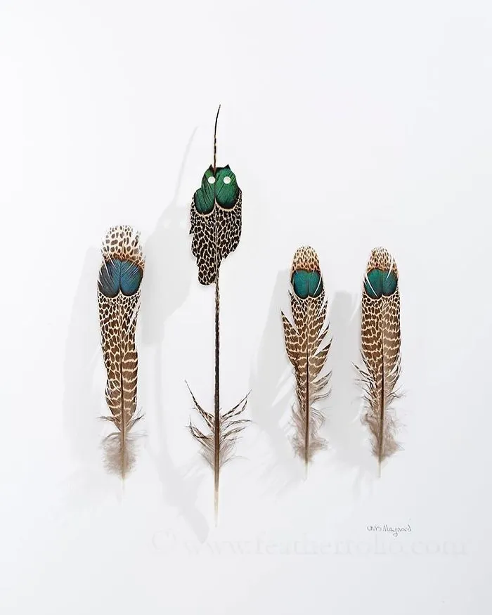 I Use Eye Surgery Scissors And Scalpels To Carve Feathers Into Intricate Art (New Pics)