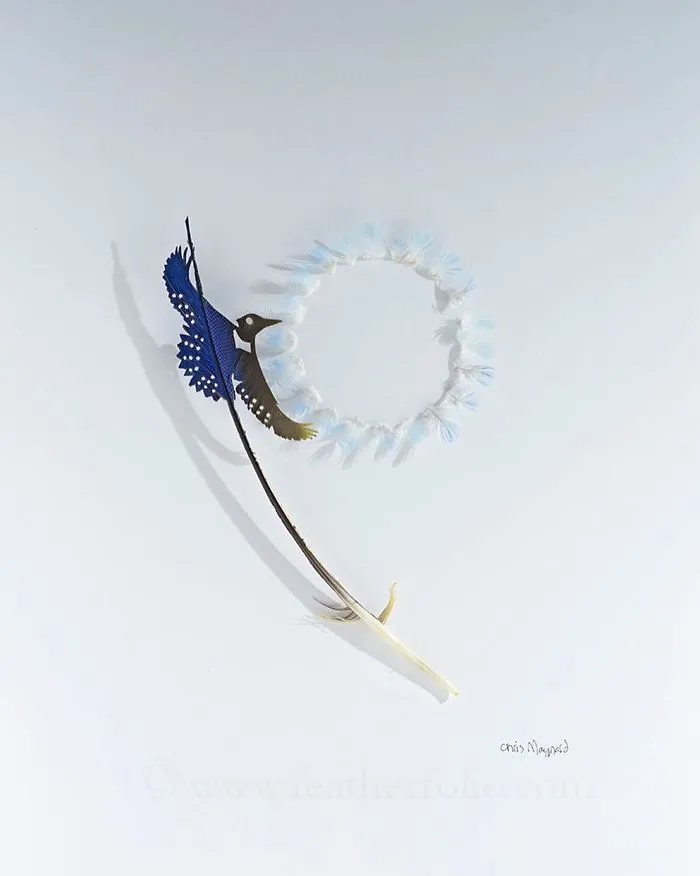 I Use Eye Surgery Scissors And Scalpels To Carve Feathers Into Intricate Art (New Pics)