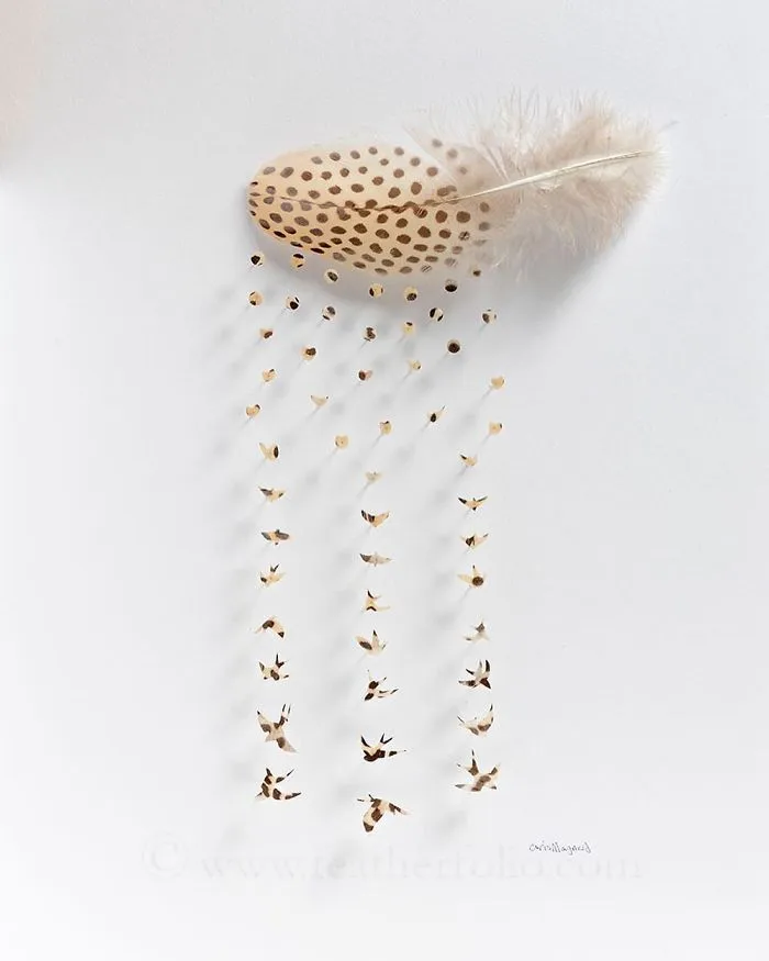 I Use Eye Surgery Scissors And Scalpels To Carve Feathers Into Intricate Art (New Pics)