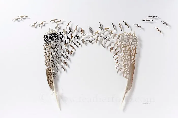 I Use Eye Surgery Scissors And Scalpels To Carve Feathers Into Intricate Art (New Pics)