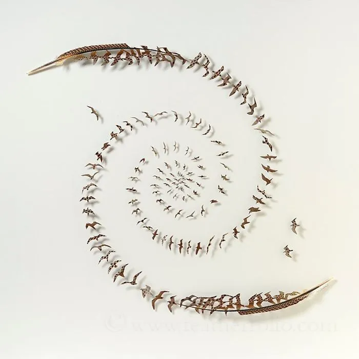 I Use Eye Surgery Scissors And Scalpels To Carve Feathers Into Intricate Art (New Pics)