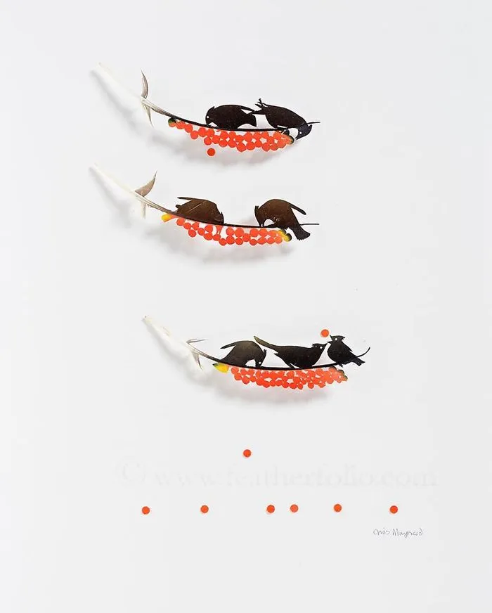 I Use Eye Surgery Scissors And Scalpels To Carve Feathers Into Intricate Art (New Pics)