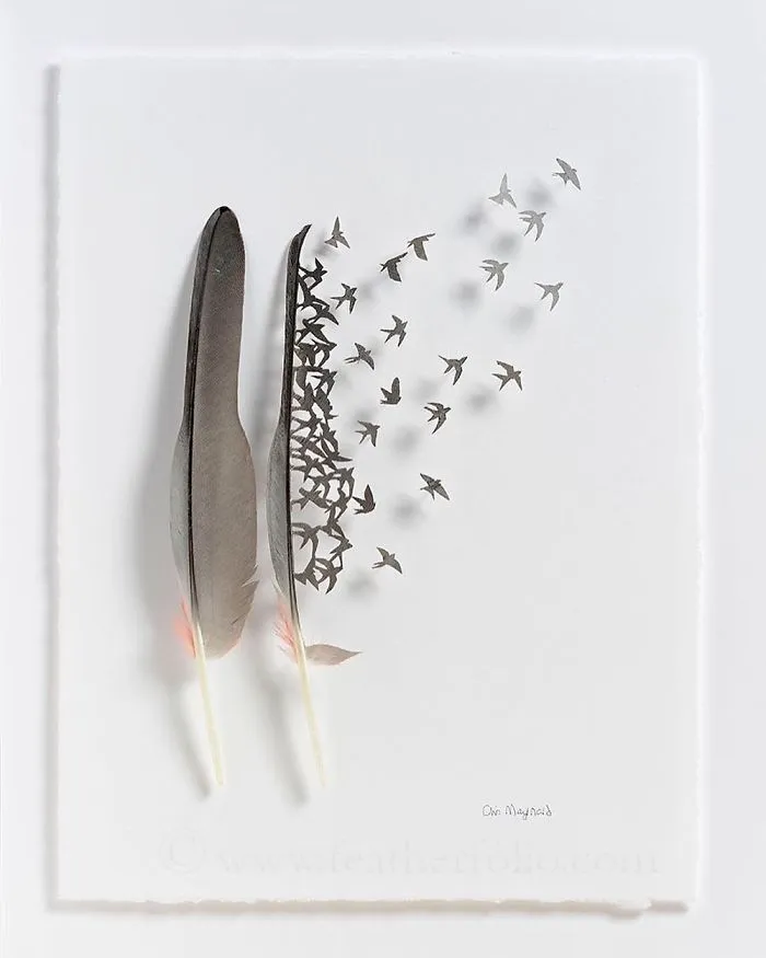 I Use Eye Surgery Scissors And Scalpels To Carve Feathers Into Intricate Art (New Pics)