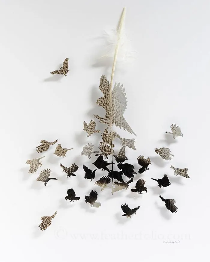 I Use Eye Surgery Scissors And Scalpels To Carve Feathers Into Intricate Art (New Pics)