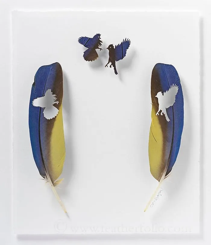 I Use Eye Surgery Scissors And Scalpels To Carve Feathers Into Intricate Art (New Pics)