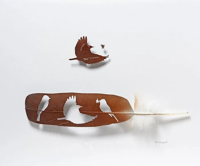 I Use Eye Surgery Scissors And Scalpels To Carve Feathers Into Intricate Art (New Pics)