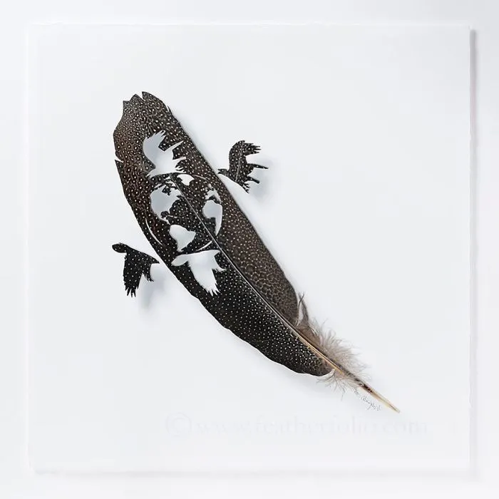 I Use Eye Surgery Scissors And Scalpels To Carve Feathers Into Intricate Art (New Pics)